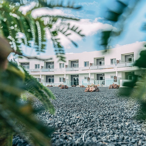 Edificio moderno del hotel 001 Hotels: Corporativa con jardines de rocas y follaje.