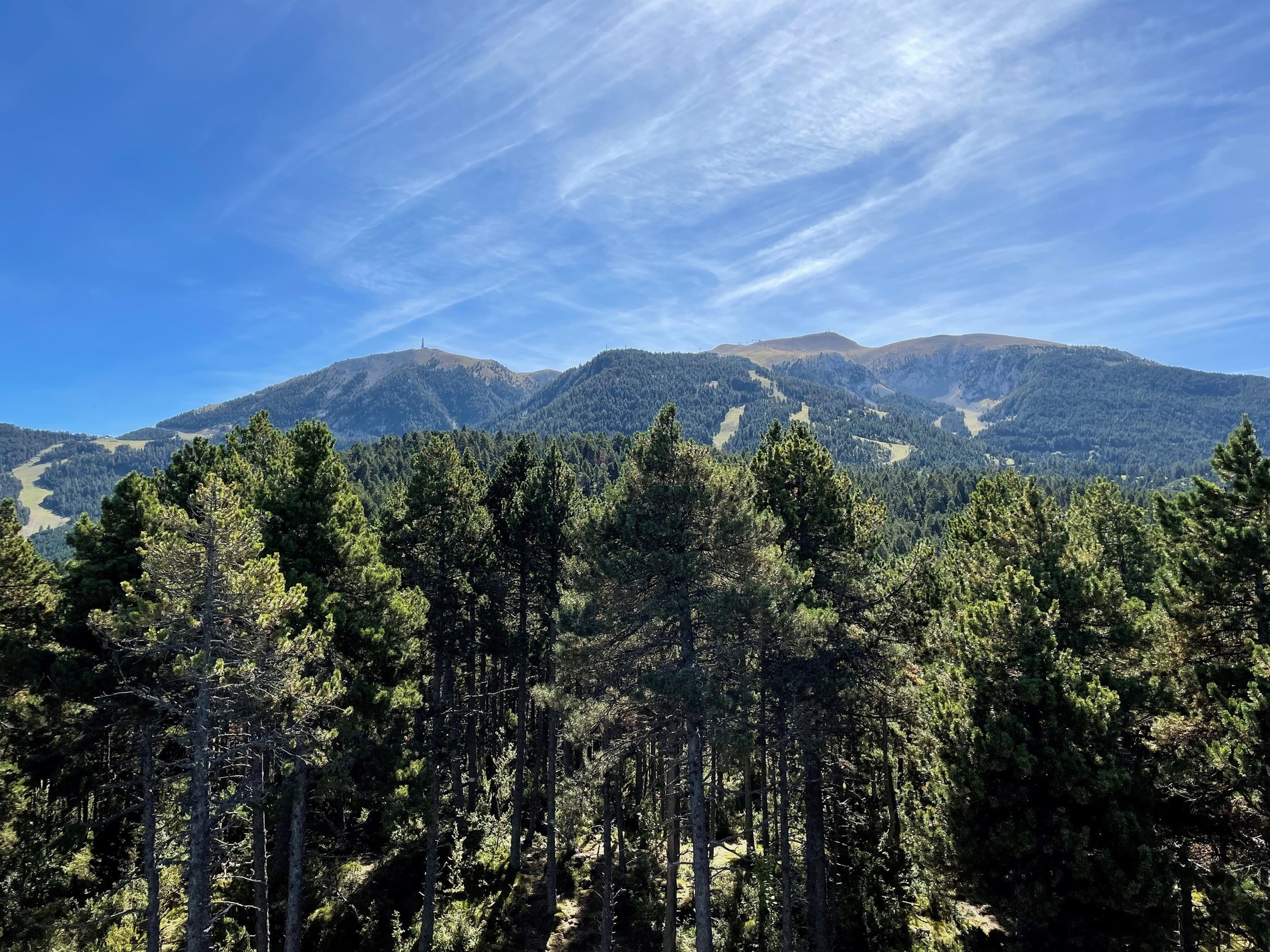Apartamentos Masella 1600