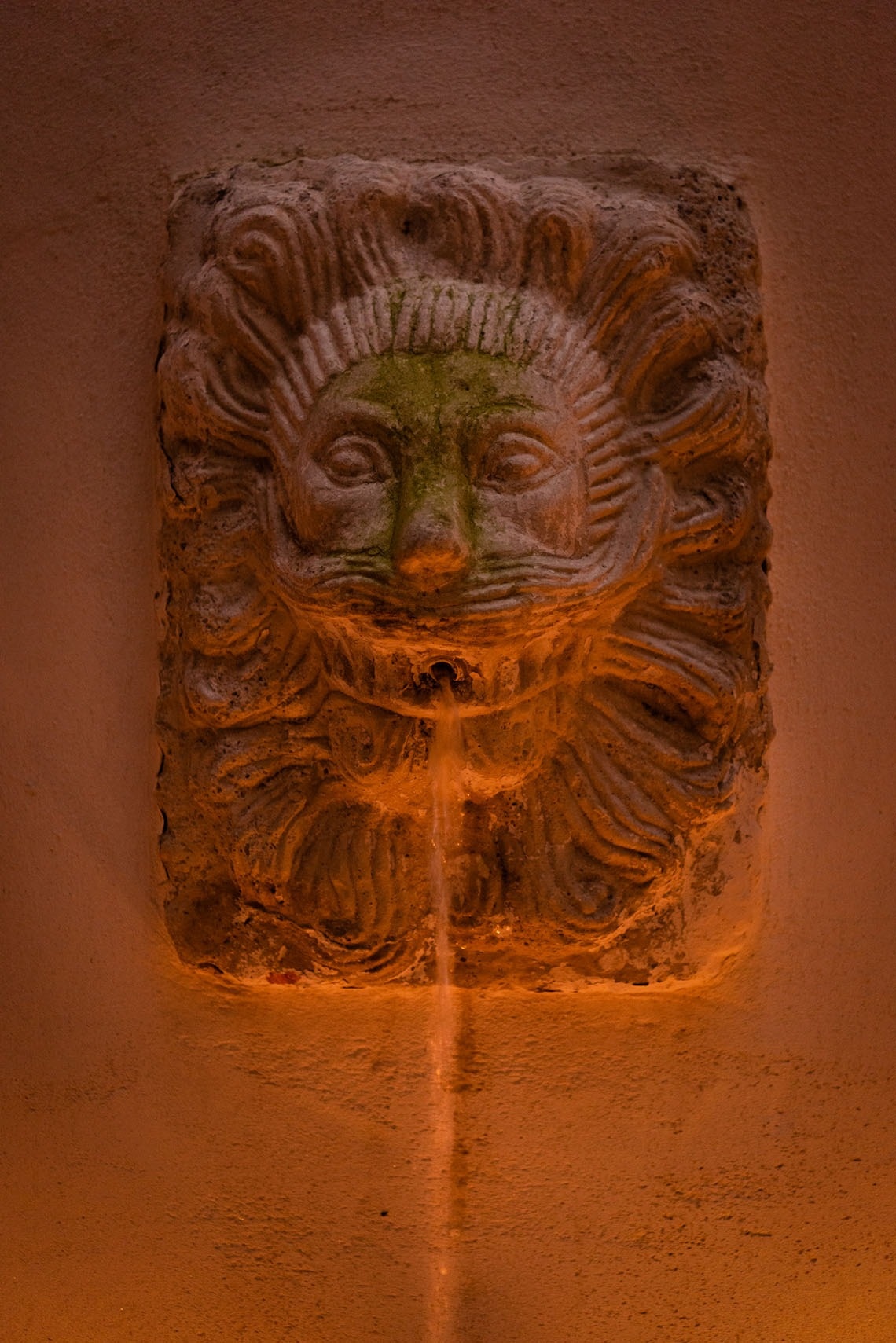 una fuente con una cara de león en la pared