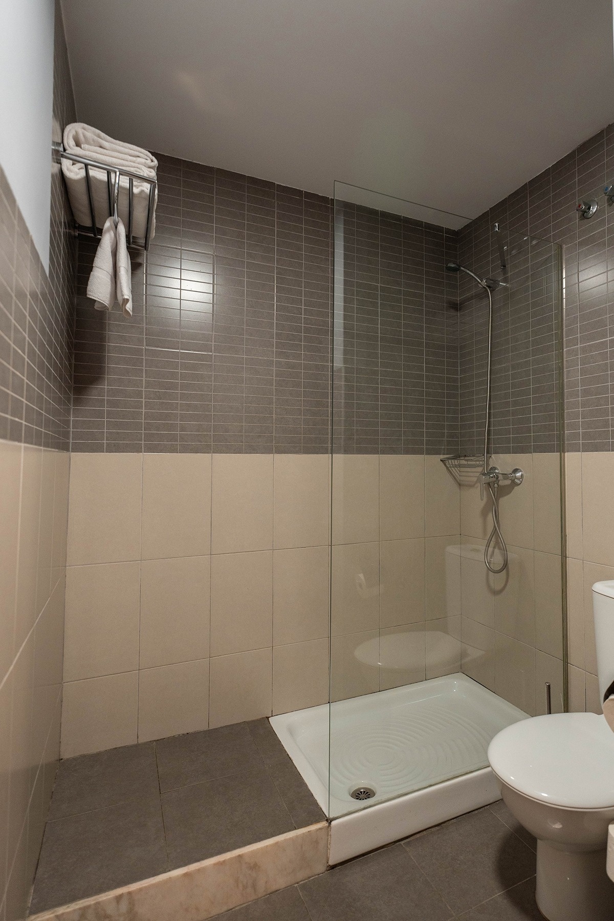 a bathroom with a toilet and a walk in shower