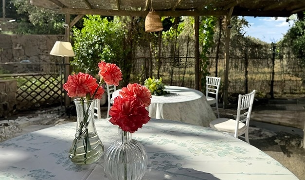 two vases filled with red flowers sit on a table under a pergola