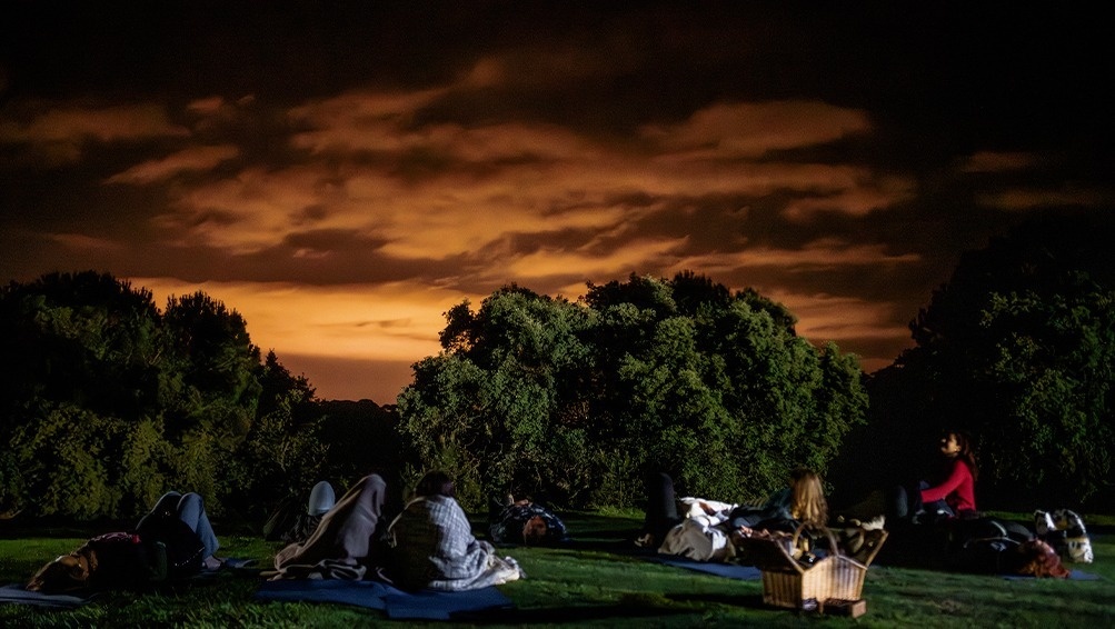 a group of people laying on blankets in the grass at night