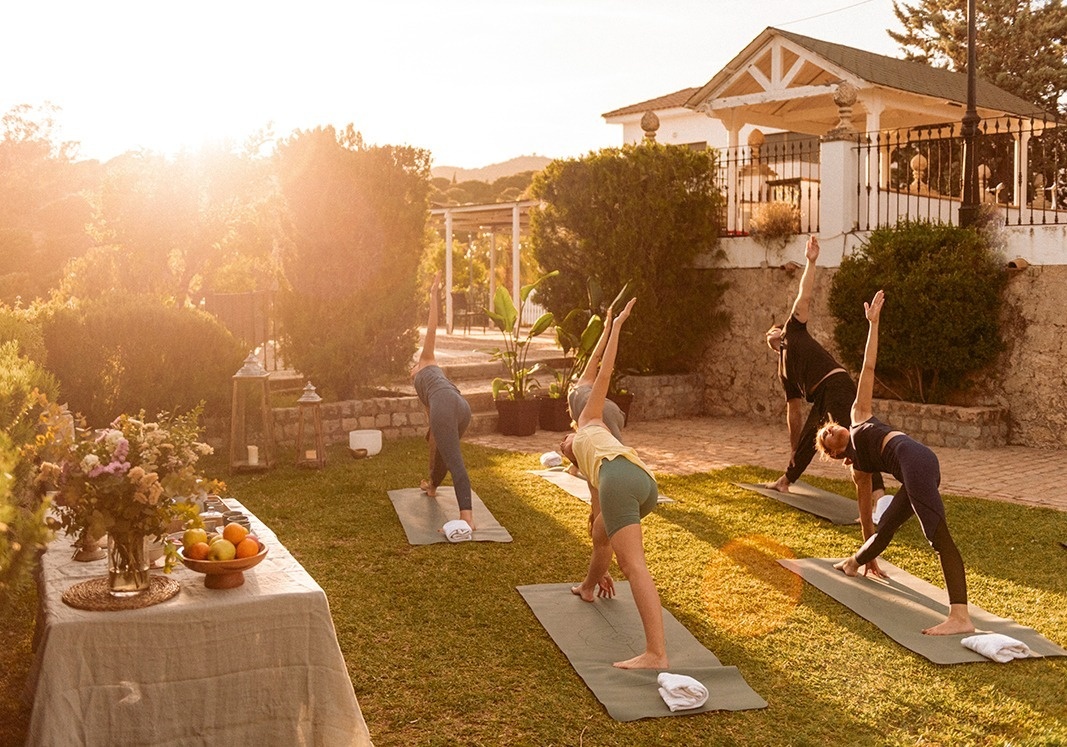 un grupo de personas están practicando yoga en el césped
