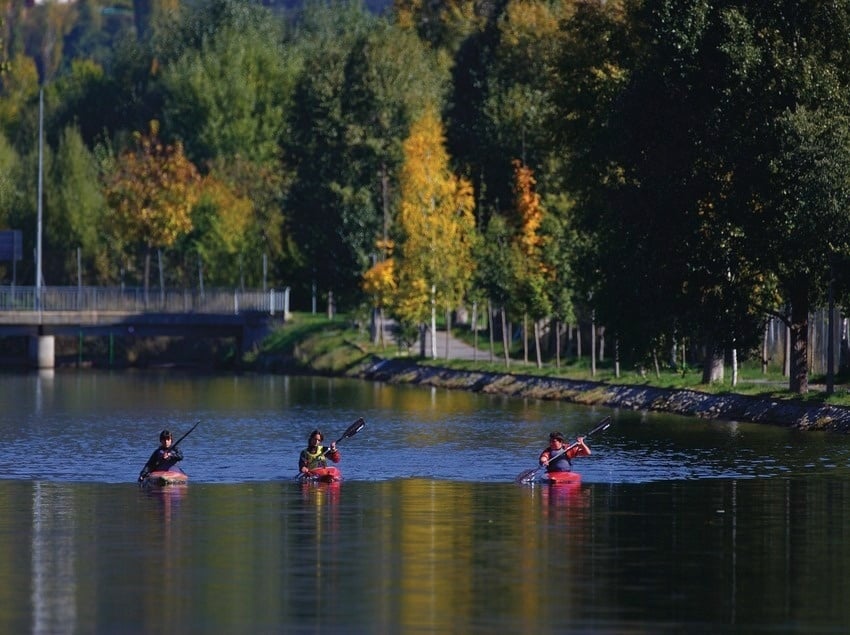 tres personas en kayaks en un lago con árboles en el fondo