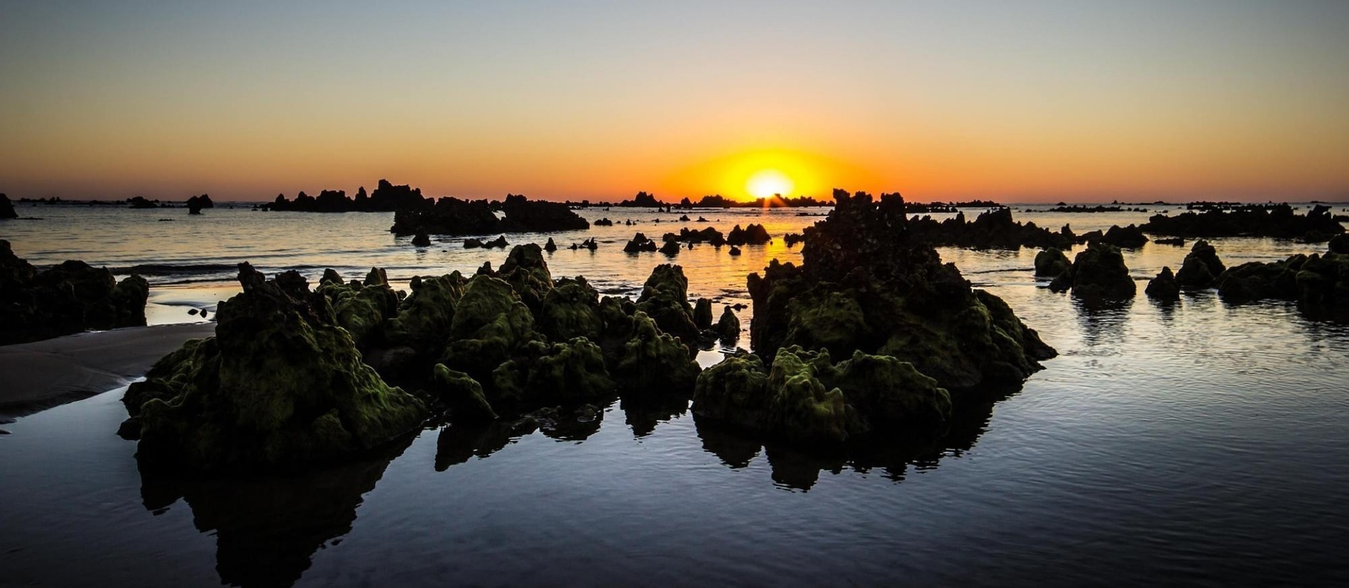 un hombre sin camisa está parado en la orilla del océano tomando una foto