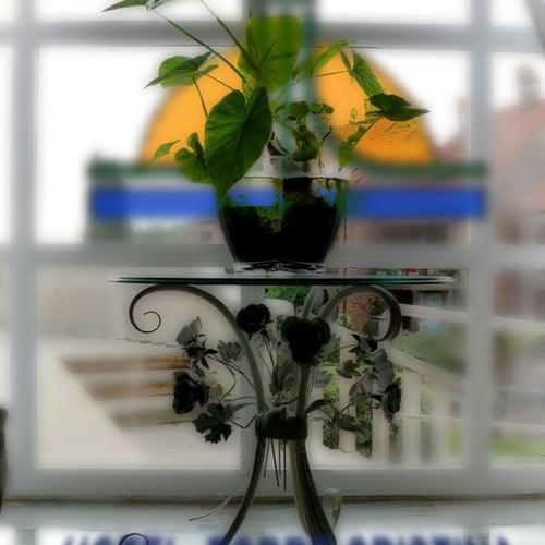 Potted plant on metal table at Hotel Torre Cristina.