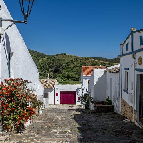 Charming Aldeia da Pedralva cobblestone street with white houses and red flowers.