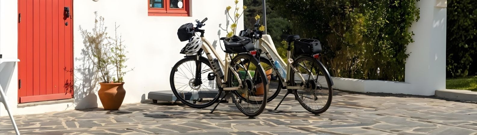 un hombre monta una bicicleta por un camino de tierra rodeado de árboles