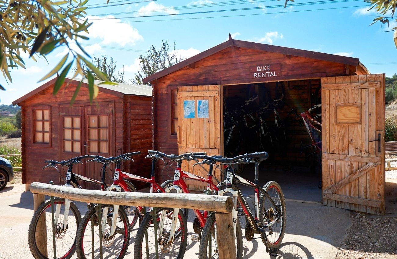 bicicletas vermelhas e brancas estão em frente a um galpão de madeira que diz bike rental