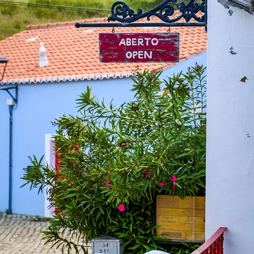 a red sign that says aberto open hangs above a plant