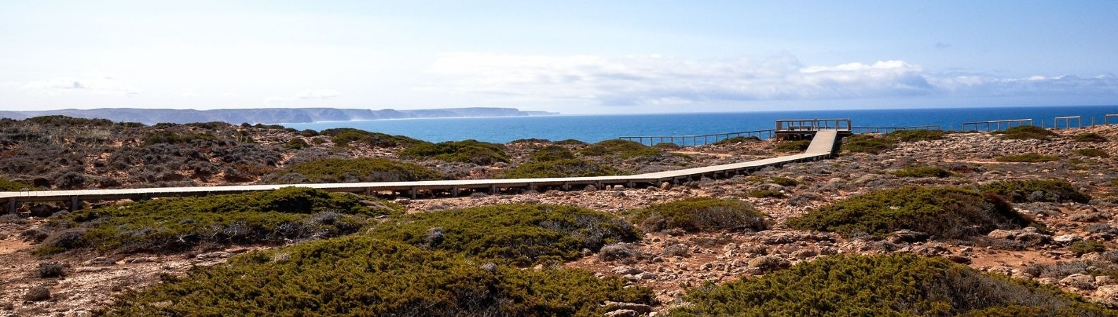 un hombre monta una bicicleta por un camino de tierra rodeado de árboles