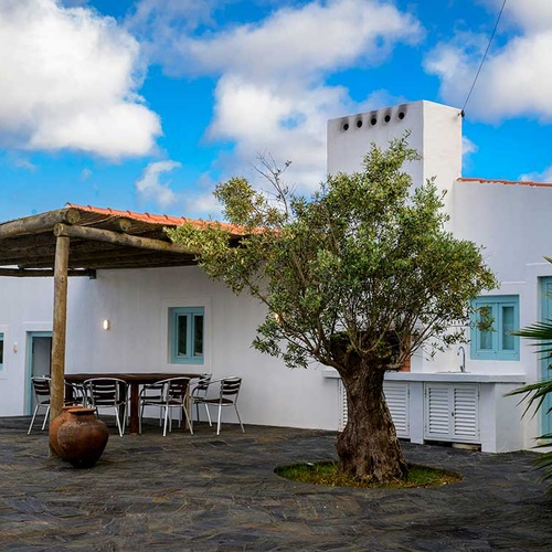 Terrace at Aldeia da Pedralva with olive tree, dining area, and outdoor kitchen.