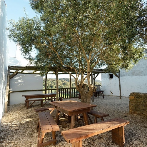 una mesa de picnic de madera y bancos bajo un árbol