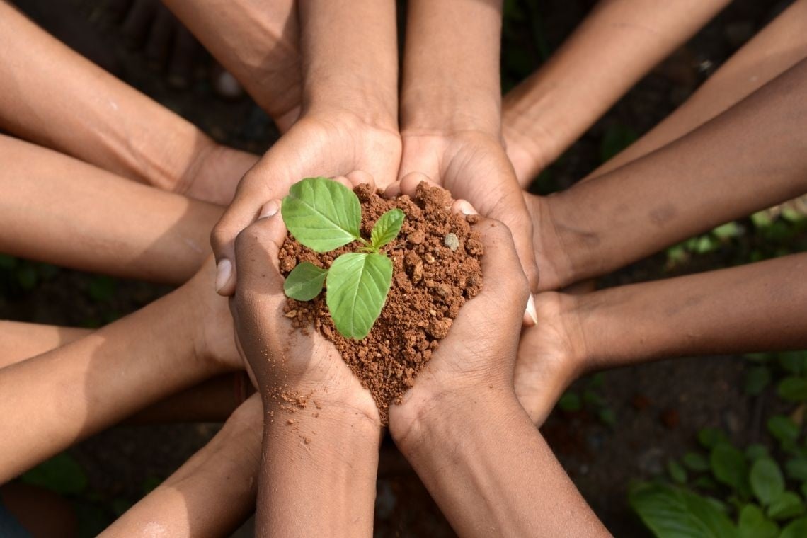 Mãos unidas sustentando um broto em Aldeia da Pedralva.