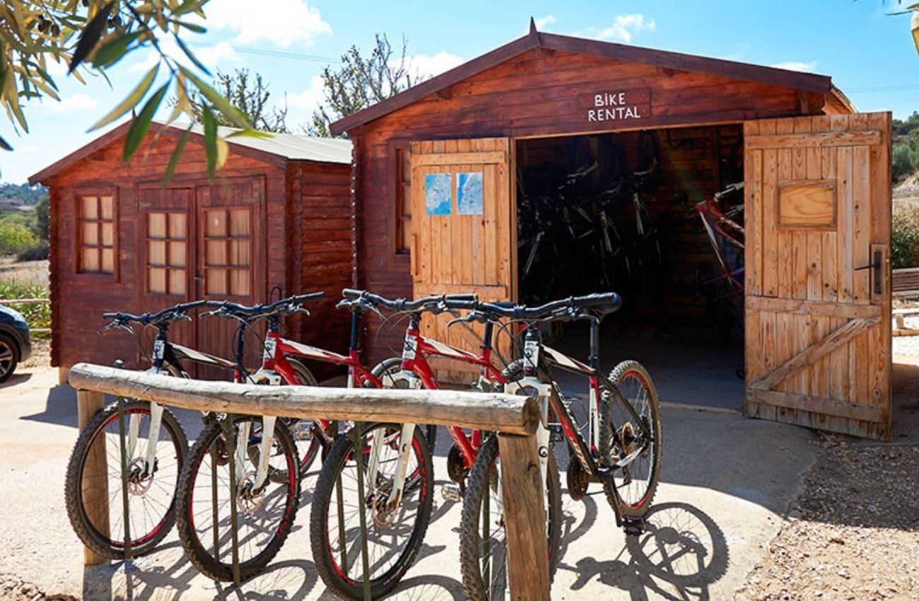 a row of bikes are parked in front of a shed that says bike rental