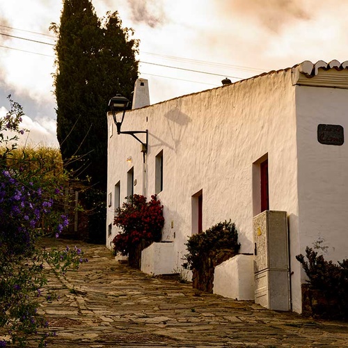 Charming white house with purple flowers in Aldeia da Pedralva.