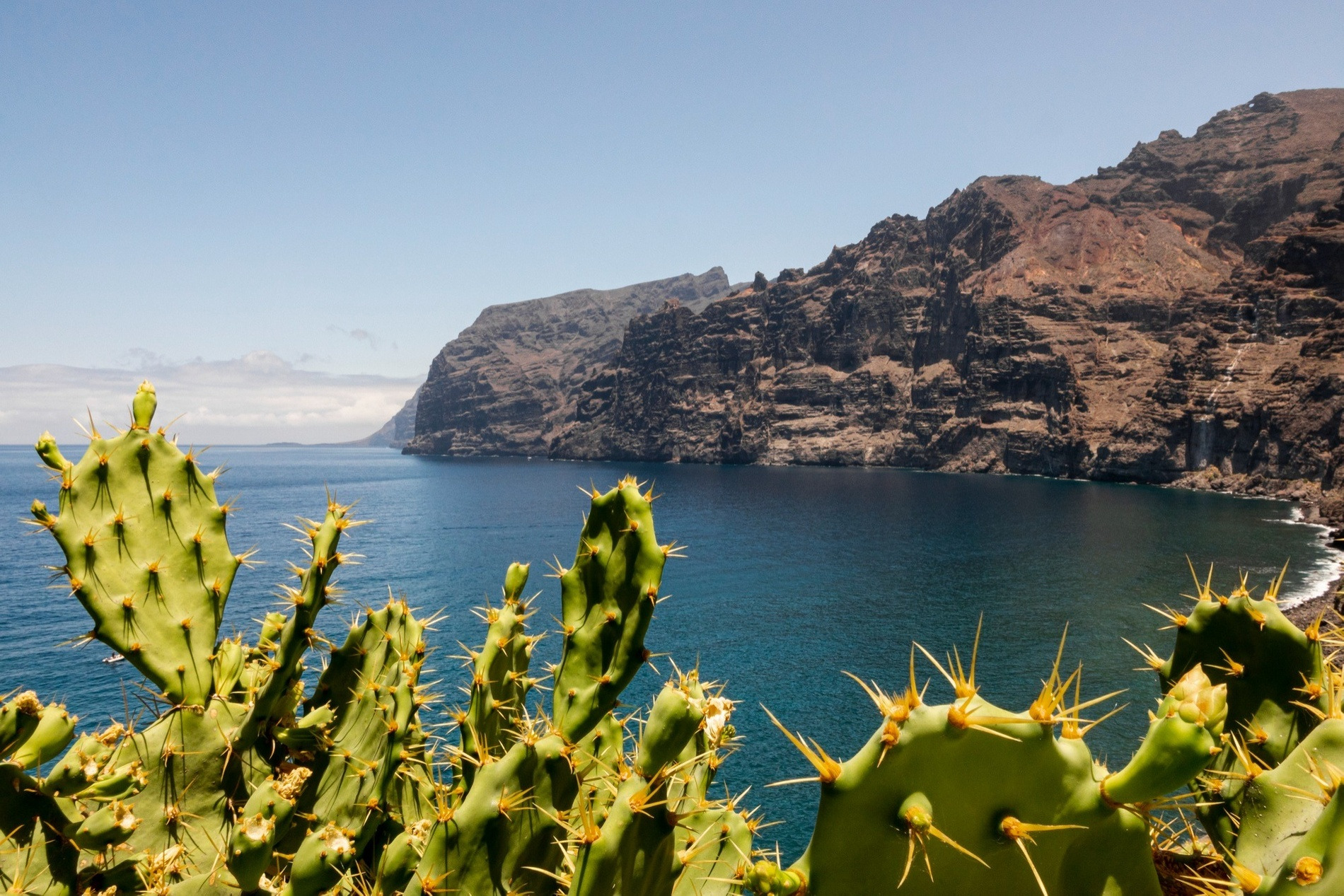 Kaktus & Meerblick vor Felsenklippen. Entdecken Sie Teneriffa & Lanzarote Hotels bei Alexandre Hotels.