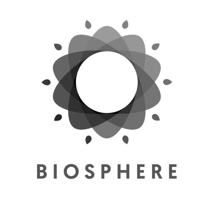 Alexandre Corporativa Biosphere logo: elegant grey radial abstract design on black for hotel branding.