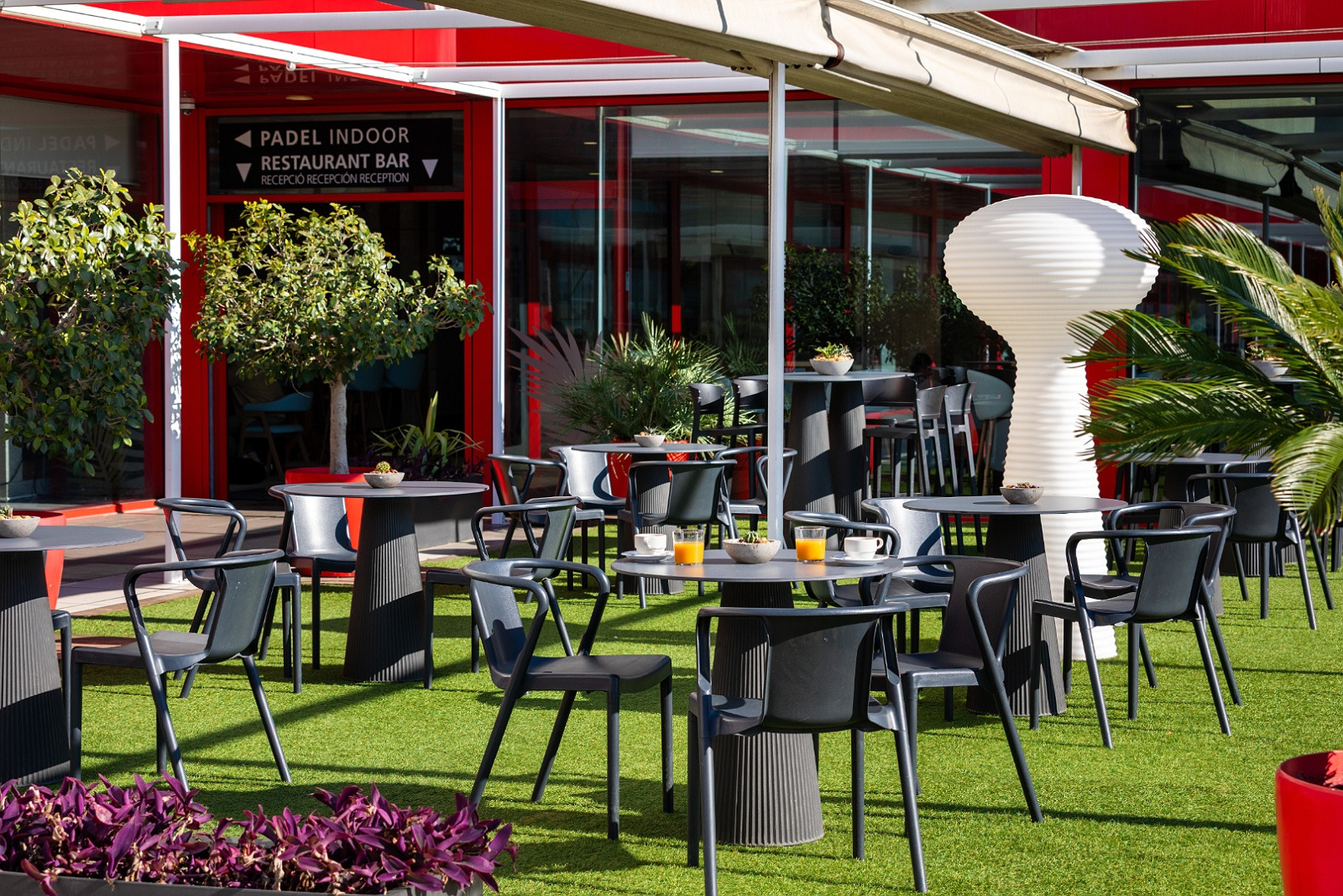 Moderna terraza de hotel con asientos al aire libre y jardín de cactus en Alexandre Corporativa.