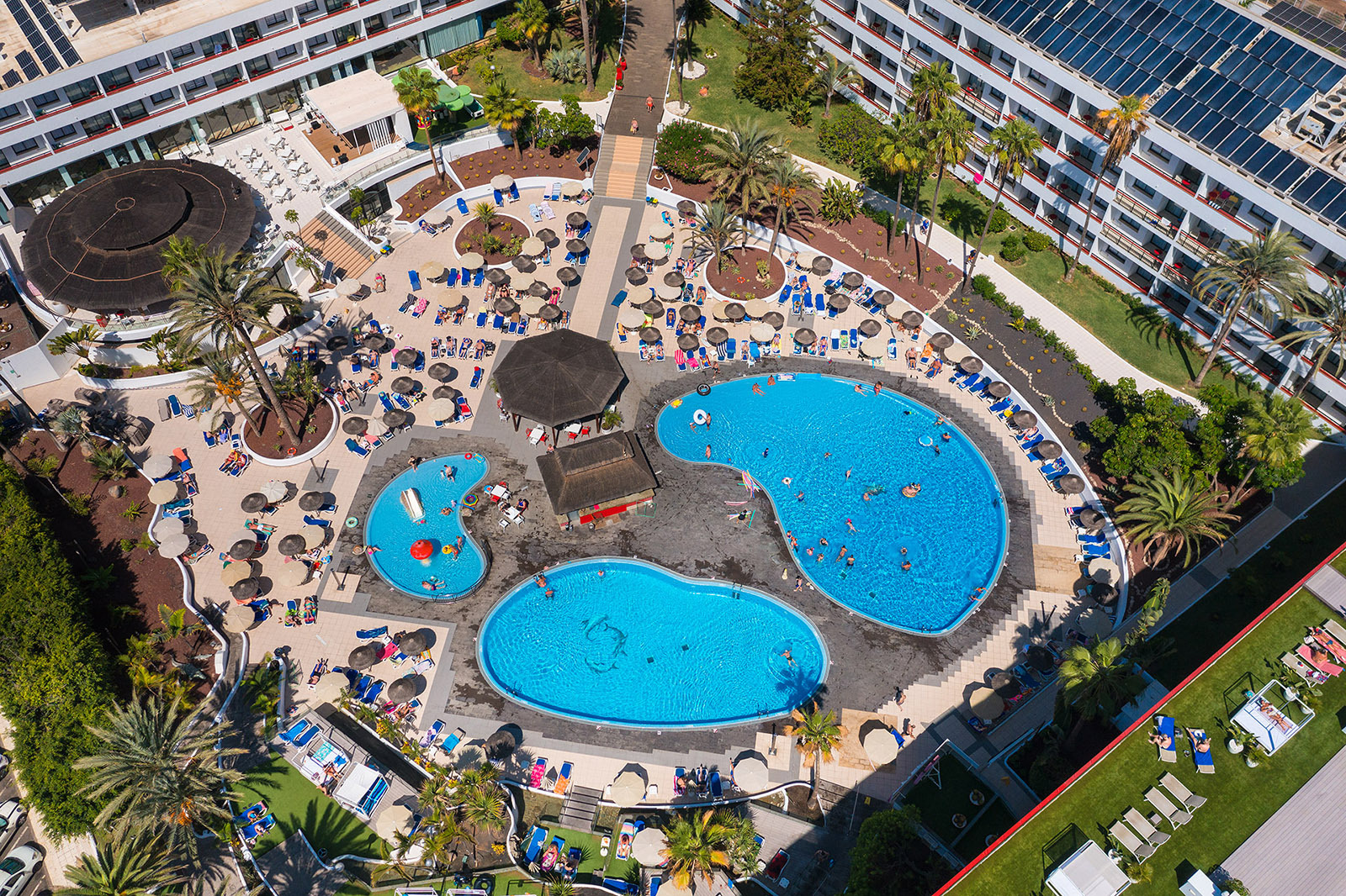 Alexandre Corporativa: Pool area of a sunny hotel with palm trees and many guests.