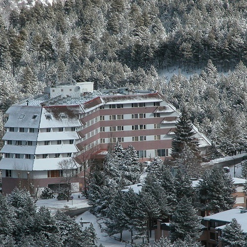 un gran edificio rodeado de árboles cubiertos de nieve