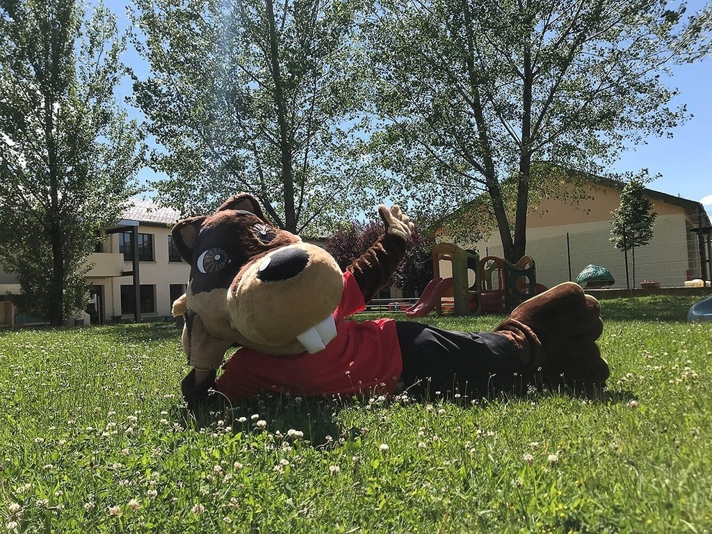 a stuffed animal in a beaver costume is laying in the grass