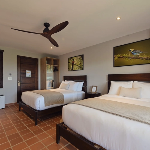 Habitación con dos camas queen, ventilador de techo y arte de pájaros, perfecta para tu Alto Monte.