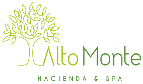 Un logotipo que muestra un árbol verde estilizado a la izquierda del texto "Alto Monte" en tonos verdes, y debajo la frase "Recupera tu conciencia" en blanco, todo sobre un fondo negro.