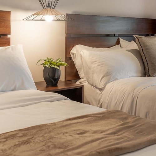 Dos camas con cabeceros de madera oscura y ropa blanca flanquean una mesita de noche con una planta en maceta y una lámpara colgante.