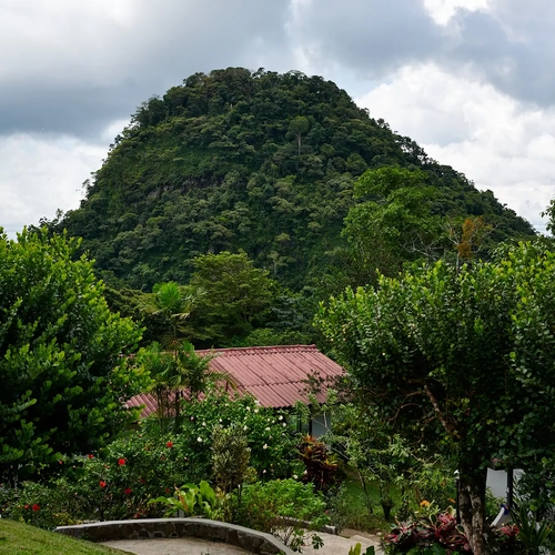 Alto Monte: casa en la selva con techo rojo y colinas verdes.