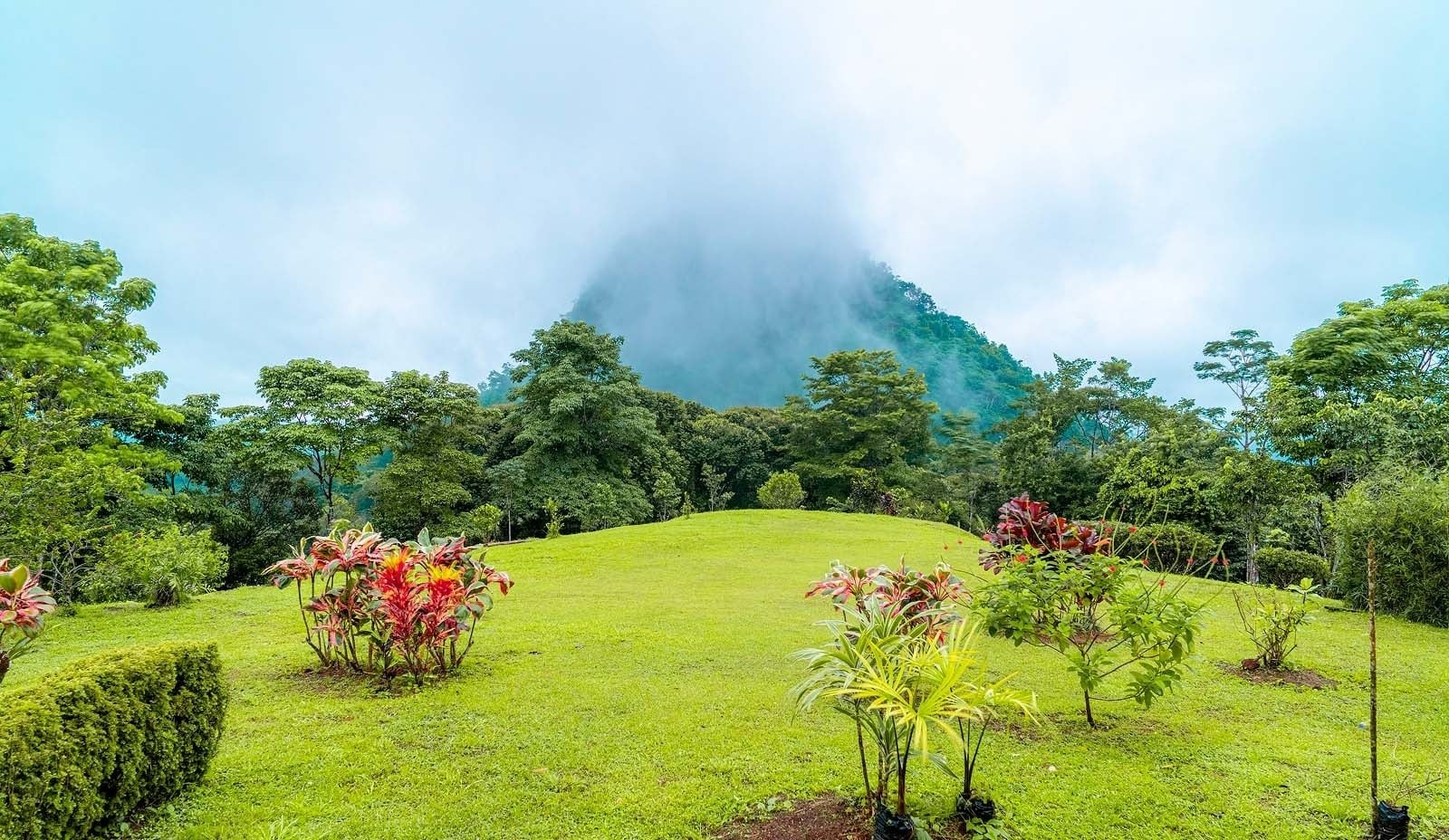una vista aérea de una playa y el océano