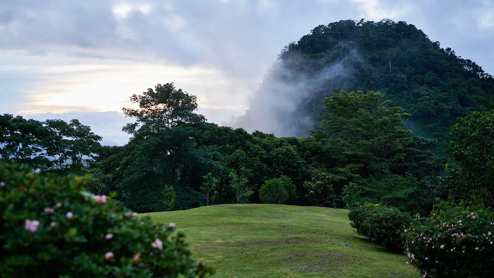 Disfruta de la exuberante selva tropical de Alto Monte con estilo.