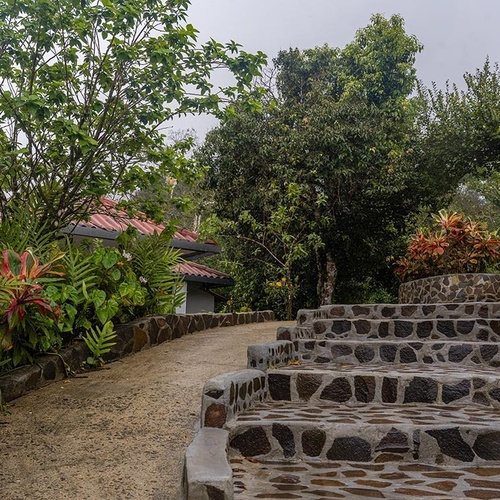 Un camino de tierra y escaleras de piedra serpentean a través de un exuberante jardín tropical, con un edificio de tejado rojo visible al fondo.