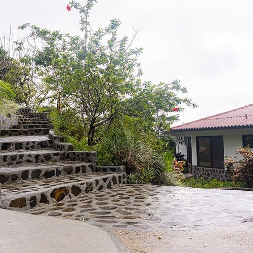 Una escalera de piedra asciende entre exuberante vegetación tropical, conduciendo a una casa blanca con techo rojo visible a la derecha, todo bajo un cielo nublado.