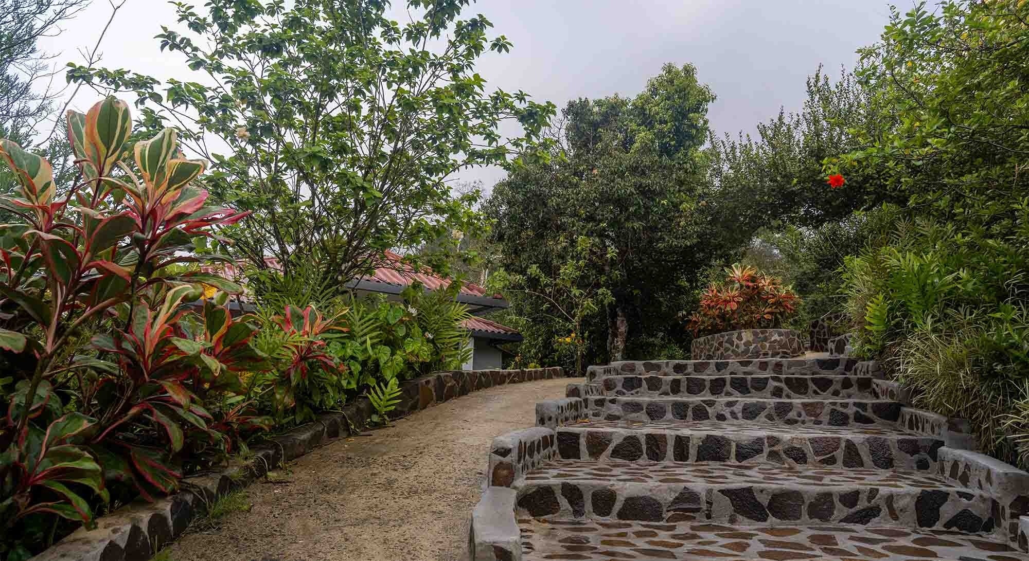 un edificio blanco con una vista del océano en el fondo