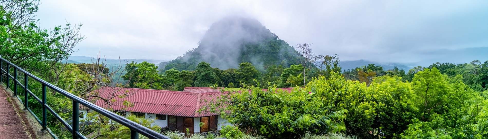 un buffet de frutas y verduras con una pizarra que dice fruta