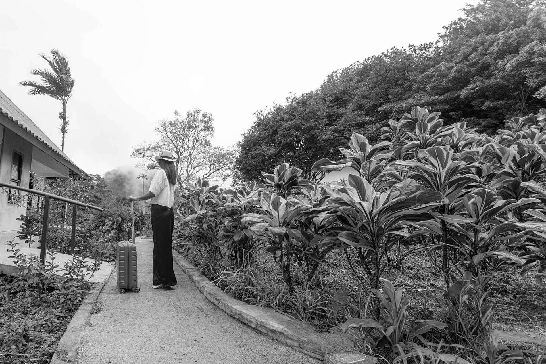 Una mujer con sombrero, vista de espaldas, se detiene con su maleta en un camino rodeado de frondosa vegetación y un edificio a su izquierda, todo en blanco y negro.=s1900