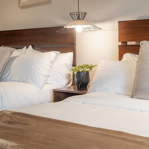 Se muestra una habitación de hotel con dos camas de cabeceros de madera oscura, ropa de cama blanca, una lámpara colgante y una planta en una mesita de noche entre ellas.