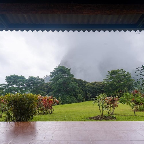Desde un porche con suelo de baldosas mojadas y pilares de ladrillo, se contempla un jardín verde con arbustos coloridos y un bosque montañoso envuelto en niebla.