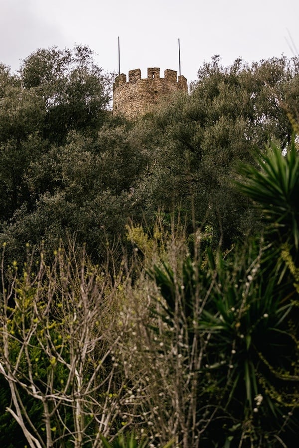 Torre histórica AndTales imersa em folhagem exuberante.