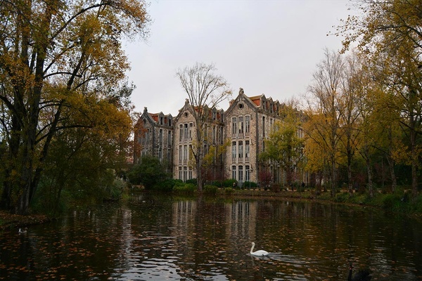 Um elegante cisne branco nada num lago sereno em frente ao AndTales, com o edifício histórico e árvores outonais ao fundo.