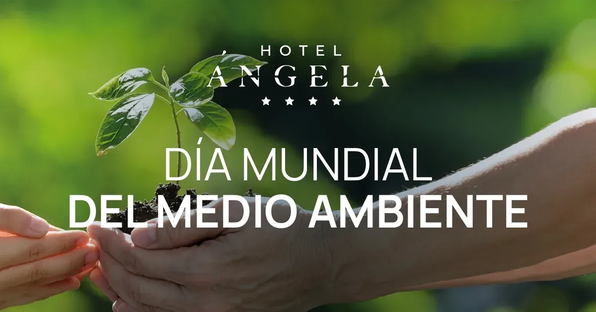 World Environment Day at Hotel Angela, planting a green future.