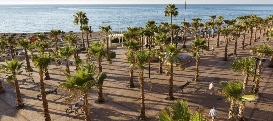 Ángela: palmeras y playa junto al mar Mediterráneo.