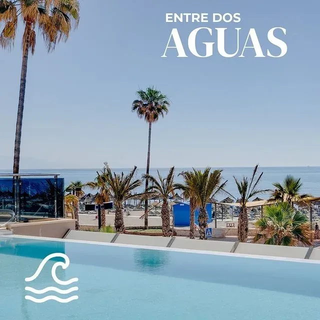 Angela's beachfront resort pool with palm trees and ocean views.