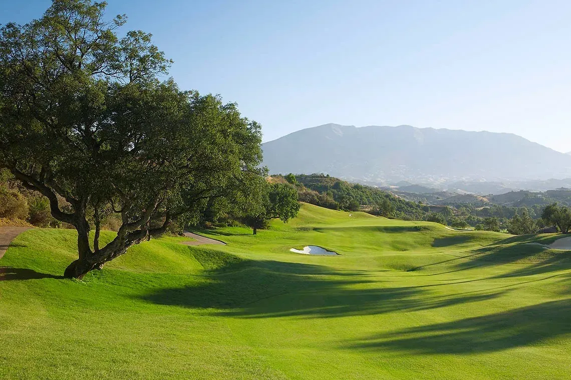 Angela's Golf Resort: green hills, large tree, mountains.