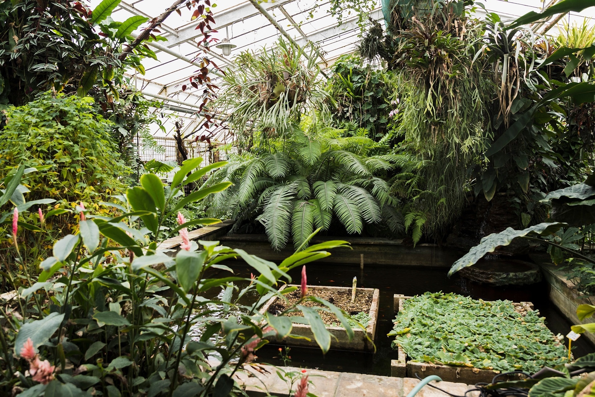 Molino de Inca Botanical Garden