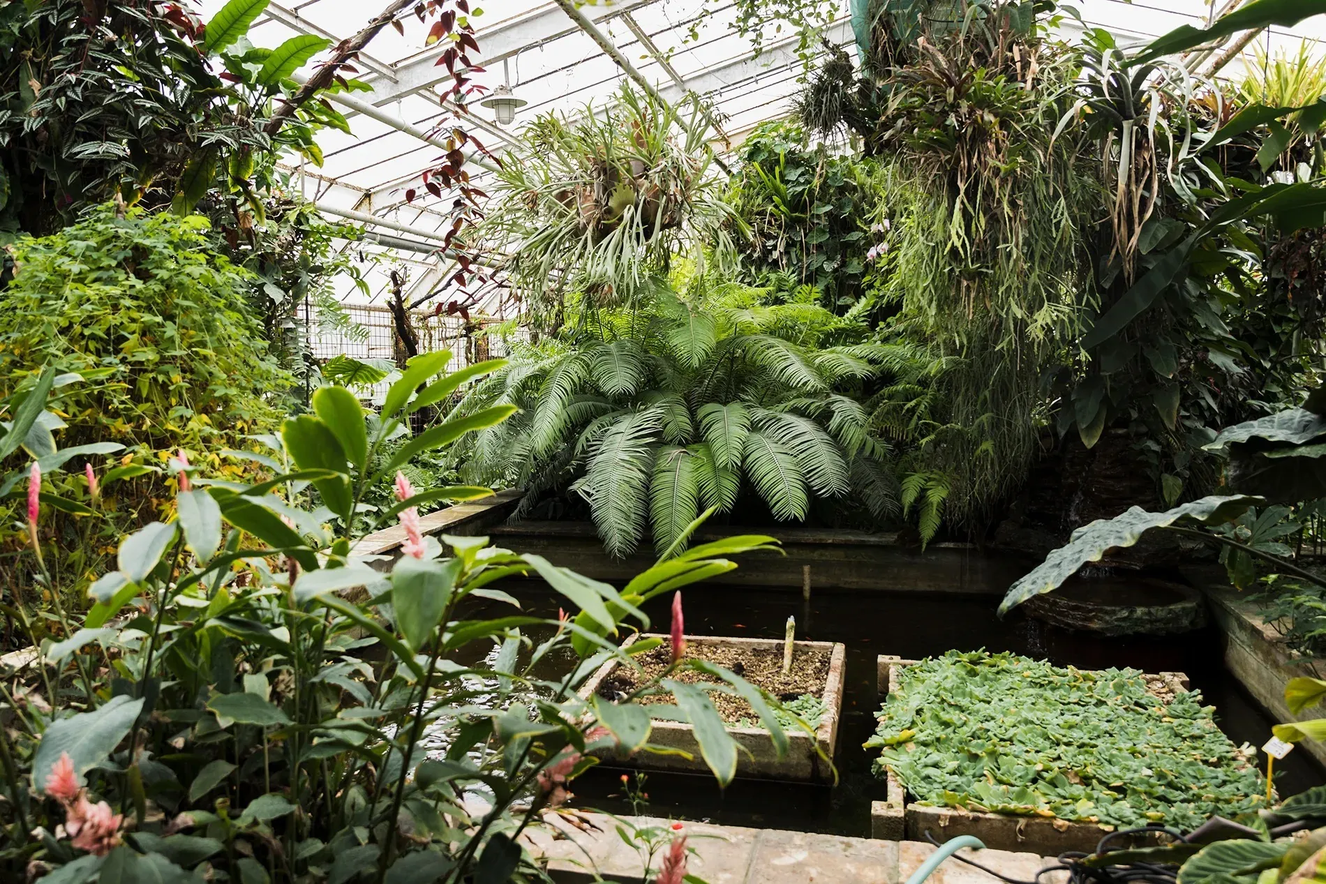 Le Jardin Botanique Molino de Inca, un havre de paix près de l'Hôtel Ángela à Málaga.
