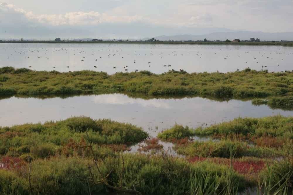 Landscape of River Ebro