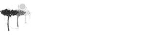 a white logo for pineda park apartments agencies