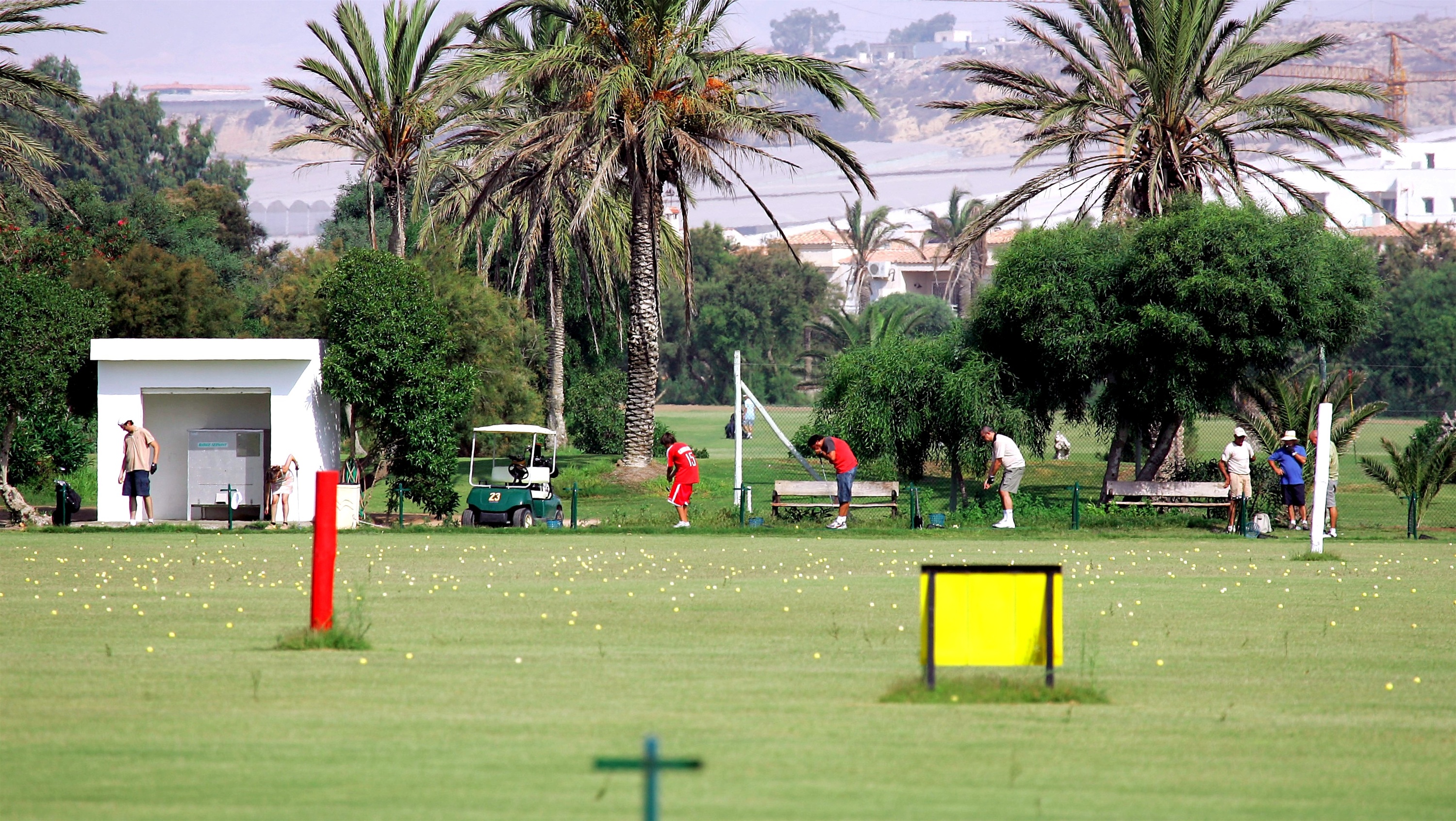 Varias personas practican golf en un campo de prácticas con palmeras y edificaciones visibles en la distancia.